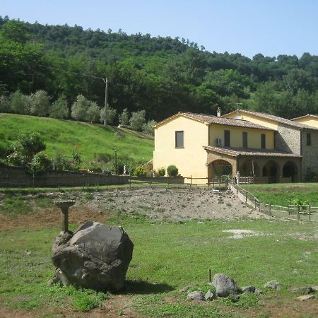 Alloggio Turistico Mooneyes Apartamento Castiglione In Teverina Exterior foto