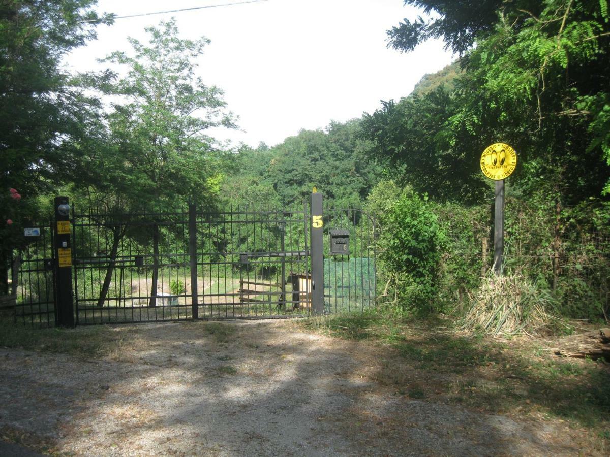 Alloggio Turistico Mooneyes Apartamento Castiglione In Teverina Exterior foto